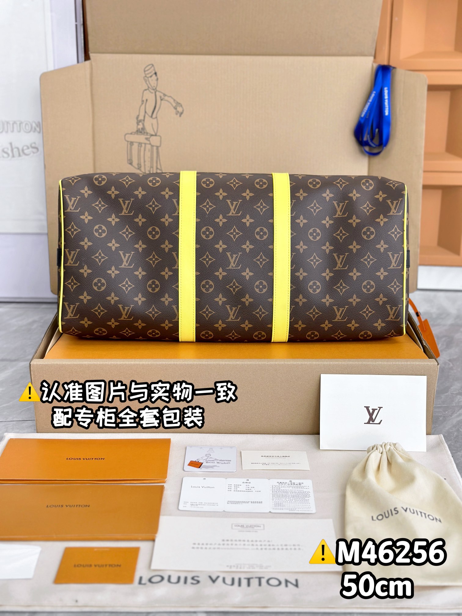 LV Travel Bags